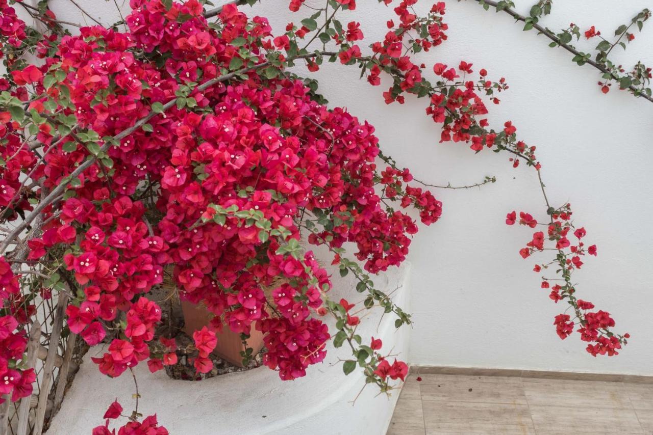 Depis Apartments & Suites Naxos City Kültér fotó